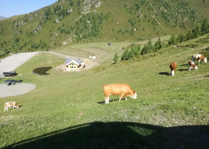 Wieser Huette אורחן